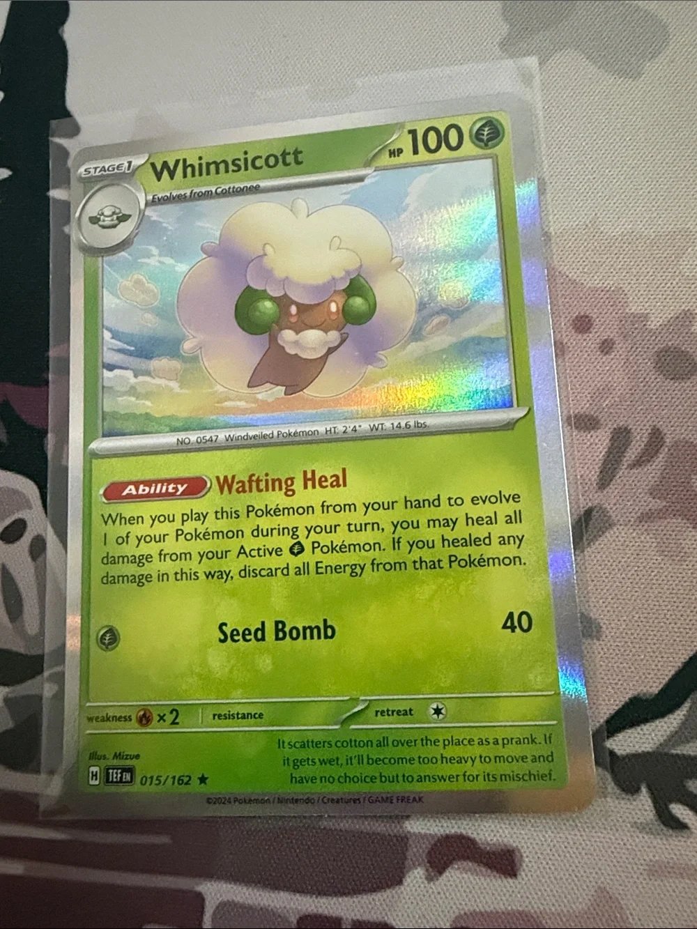 Cottonee & Whimsicott Pokémon Evolution Lot Holo Reverse Holo | 3 Cards ✨5/$25✨